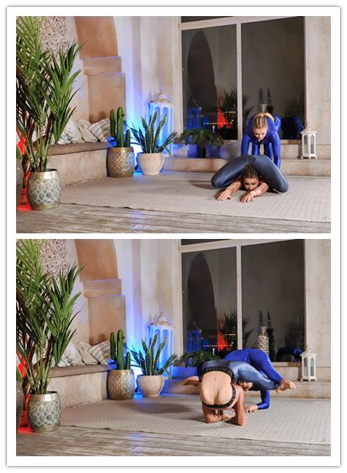 2026.3-23����Ƶ��Ա��flexshowר���Ѹ���